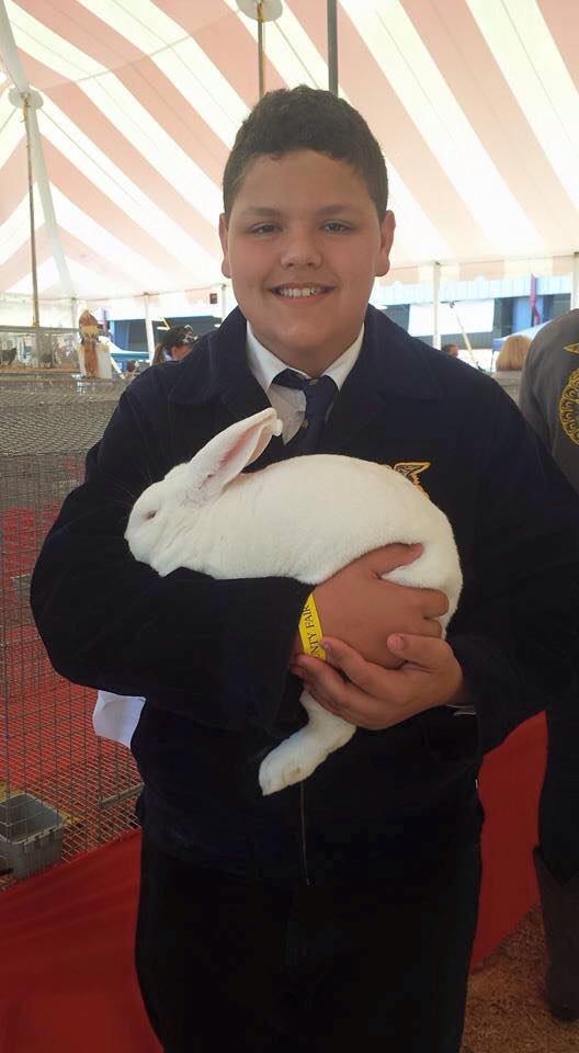 12079557_1481824718790727_2540228988398827480_n